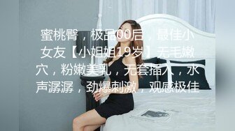 蜜桃臀，极品00后，最佳小女友【小姐姐19岁】无毛嫩穴，粉嫩美乳，无套插入，水声潺潺，劲爆刺激，观感极佳