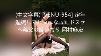 (中文字幕) [VENU-954] 定年退職してヒマになったドスケベ義父の嫁いぢり 岡村麻友子