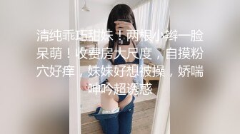 【AI换脸视频】郑家纯 鸡排妹赴日当女优