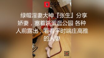 ⚡绿帽淫妻大神『张生』分享娇妻，塞着跳蛋逛公园 各种人前露出，看看平时端庄高雅的人妻