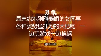 周末约炮刚刚离婚的女同事⭐各种姿势猛插她的大肥鲍⭐一边玩游戏一边挨操