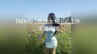 TMX003.丝丝.女秘书的工作.天美传媒