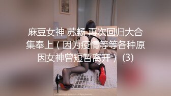 麻豆女神 苏畅 再次回归大合集奉上（因为疫情等等各种原因女神曾短暂离开） (3)