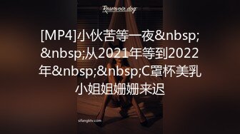 [MP4]小伙苦等一夜&nbsp;&nbsp;从2021年等到2022年&nbsp;&nbsp;C罩杯美乳小姐姐姗姗来迟