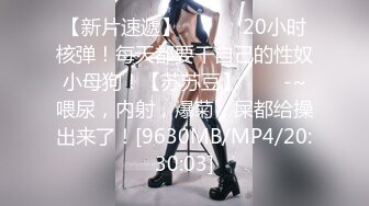 LAA-0046亚裔少妇强上维修工