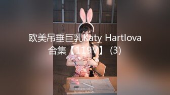 欧美吊垂巨乳Katy Hartlova合集【119V】 (3)