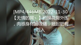 [MP4/446MB]2022-11-30【无情的屌丶】约操花臂外围，肉感身材超级骚，翘起肥臀后入