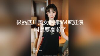 赵总探花系列-迷人的美少妇