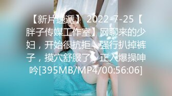 【新片速遞】 2022-7-25【胖子传媒工作室】网聊来的少妇，开始很抗拒，强行扒掉裤子，摸穴舒服了，正入爆操呻吟[395MB/MP4/00:56:06]