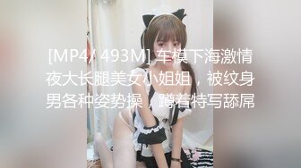 [MP4/ 493M] 车模下海激情夜大长腿美女小姐姐，被纹身男各种姿势操，蹲着特写舔屌