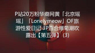 P站20万粉华裔网黄「北京瑶瑶」「Lonelymeow」OF旅游性爱日记 3P百合爆菊潮吹露出【第五弹】 (3)