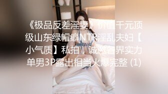 《极品反差淫妻》价值千元顶级山东绿帽癖NTR淫乱夫妇【小气质】私拍，诚邀各界实力单男3P露出相当火爆完整 (1)