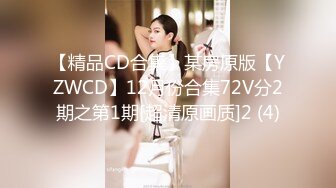 【精品CD合集】某房原版【YZWCD】12月份合集72V分2期之第1期[超清原画质]2 (4)