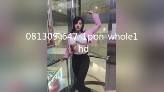 081309_647-1pon-whole1_hd