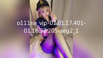 o111na_vip-01.01.17.401-01.16.32.205-seg2_1