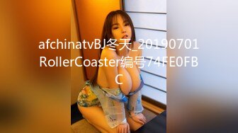 afchinatvBJ冬天_20190701RollerCoaster编号74FE0FBC