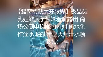 【猎奇稀缺大开眼界】极品贫乳姬嫩屄学生妹羞耻露出 商场公厕电梯啪啪内射 奶水化作淫水 抽插带出大片汁水喷溅 (1)