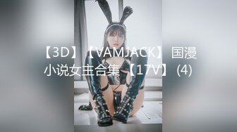 【3D】【VAMJACK】 国漫小说女主合集 【17V】 (4)