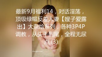 最新9月福利14，对话淫荡，顶级绿帽反差人妻【嫂子爱露出】大杂烩系列，各种3P4P调教，从头干到尾，全程无尿点 (3)