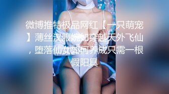 微博推特极品网红【一只萌宠】薄丝汉服婉如穿越天外飞仙，堕落仙女如何养成只需一根假阳具