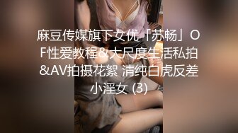 麻豆传媒旗下女优「苏畅」OF性爱教程&大尺度生活私拍&AV拍摄花絮 清纯白虎反差小淫女 (3)