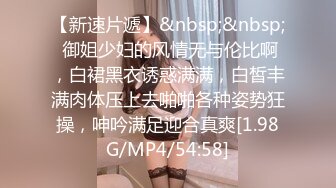 成都小母狗2