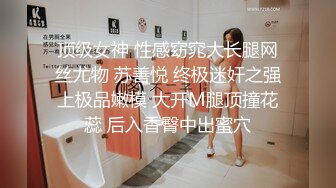 顶级女神 性感窈窕大长腿网丝尤物 苏善悦 终极迷奸之强上极品嫩模 大开M腿顶撞花蕊 后入香臀中出蜜穴