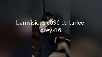 bamvisions e096 cv karlee grey-16