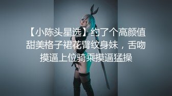 STP33409 一號情人成熟風騷有韻味，輕熟女騷姐姐的誘惑，黑絲吊帶裙全程露臉發騷，揉奶玩逼性感誘惑，精彩不要錯過