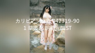 カリビアンコム 042319-901 早抜き 朝桐光BEST