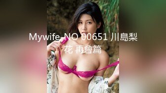 Mywife-NO 00651 川島梨花 再會篇