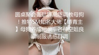 圆桌聚会轰趴群高质调教母狗！推特SM知名大佬【缚青主】母狗养成记录，各种空姐良家制服诱惑群调