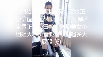 《极品CP魔手外购》无水正版价值千元某工厂职工女厕所全景正点位置偸拍各种美女小姐姐大小便看脸看双洞超多大屁股 (6)