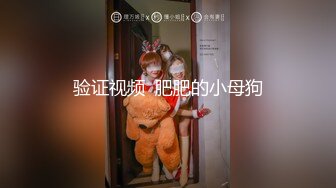 验证视频  肥肥的小母狗