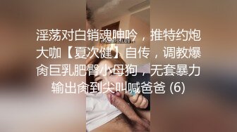 淫荡对白销魂呻吟，推特约炮大咖【夏次健】自传，调教爆肏巨乳肥臀小母狗，无套暴力输出肏到尖叫喊爸爸 (6)