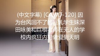 2022五月最新流出（新品首发）精品全景厕拍【电子厂系列-收尾作品】9眼镜妹一边看视频手指扣着小豆豆自慰