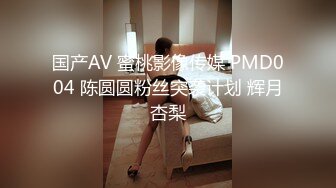 国产AV 蜜桃影像传媒 PMD004 陈圆圆粉丝突袭计划 辉月杏梨