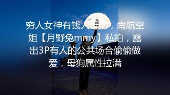 穷人女神有钱人母狗，南航空姐【月野兔mmy】私拍，露出3P有人的公共场合偸偸做爱，母狗属性拉满