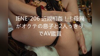 IENE-206 近親相姦！！母親がオクテの息子と2人っきりでAV鑑賞