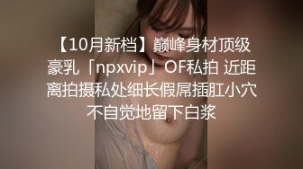 【10月新档】巅峰身材顶级豪乳「npxvip」OF私拍 近距离拍摄私处细长假屌插肛小穴不自觉地留下白浆