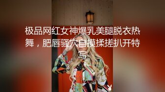 极品网红女神爆乳美腿脱衣热舞，肥唇骚穴自摸揉搓扒开特写