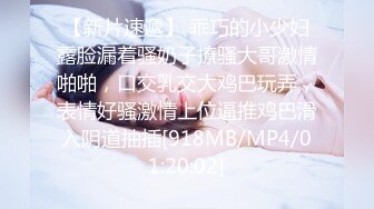 MDX-0033_神殿娱乐性爱影片外流实录_性玩物女孩的致富逆袭Ep3官网-夏晴子