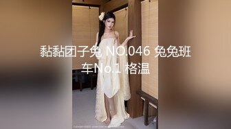 黏黏团子兔 NO.046 兔兔班车No.1 格温