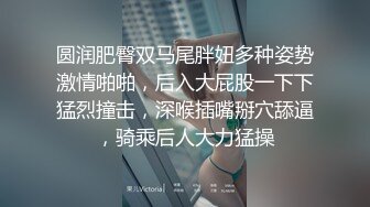 圆润肥臀双马尾胖妞多种姿势激情啪啪，后入大屁股一下下猛烈撞击，深喉插嘴掰穴舔逼，骑乘后人大力猛操