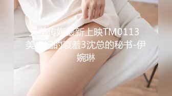 天美传媒最新上映TM0113 美少妇的哀羞3沈总的秘书-伊婉琳