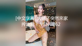  [中文字幕] 大姨子突然來家搾乾我！ VENU862