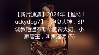 【新片速遞】2024年【推特 luckydog7】，泡良大神，3P调教艳遇不断，肥臀大奶、小家碧玉，叫声淫荡 (5)