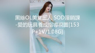 黑絲OL美女三人 SOD淫銷課-愛的玩具養成指導視圖[153P+1V/1.08G]