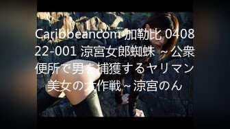 Caribbeancom 加勒比 040822-001 涼宮女郎蜘蛛 ～公衆便所で男を捕獲するヤリマン美女の大作戦～涼宮のん