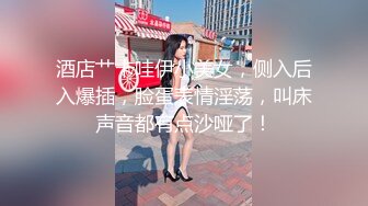 酒店艹卡哇伊小美女，侧入后入爆插，脸蛋表情淫荡，叫床声音都有点沙哑了！